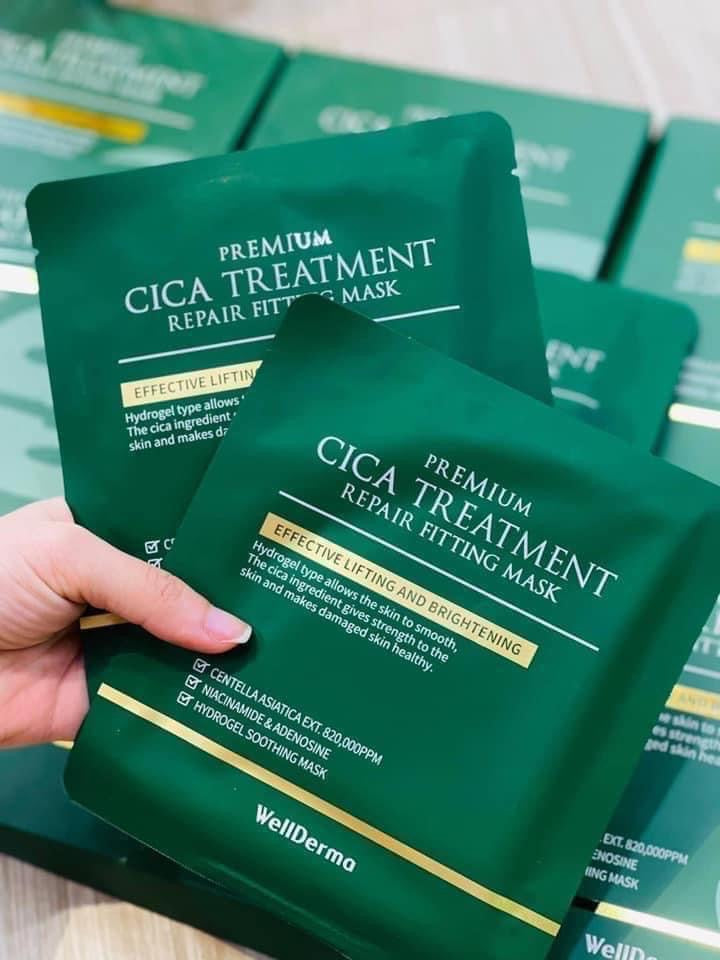 WellDerma Premium Cica Treatment Repair Fitting Mask