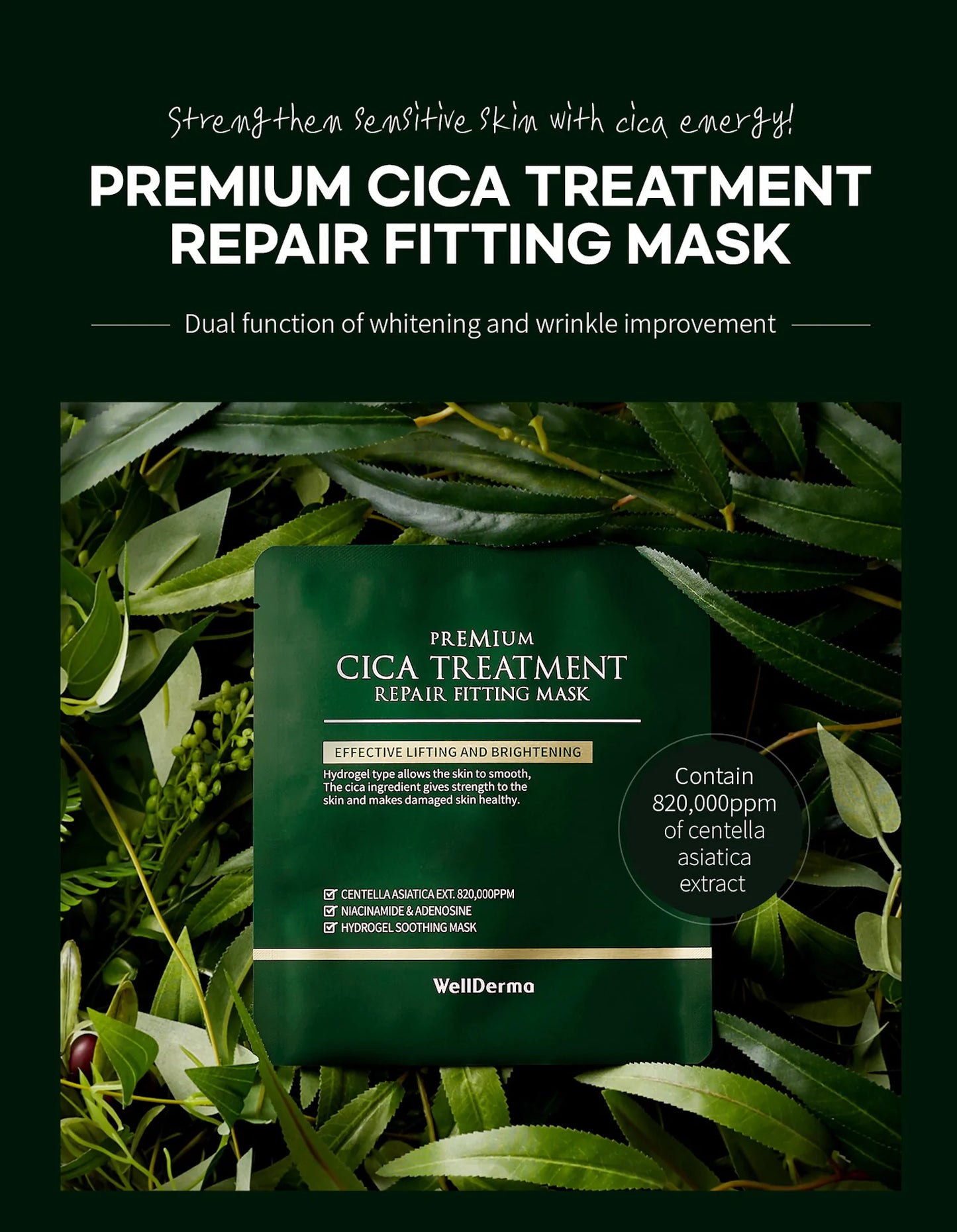 WellDerma Premium Cica Treatment Repair Fitting Mask